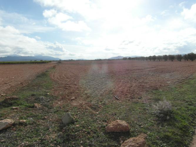 CASA DE CAMPO PARA ARREGLARLA EN YECLA