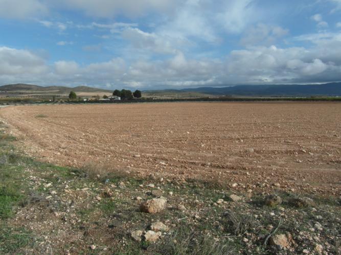 CASA DE CAMPO PARA ARREGLARLA EN YECLA