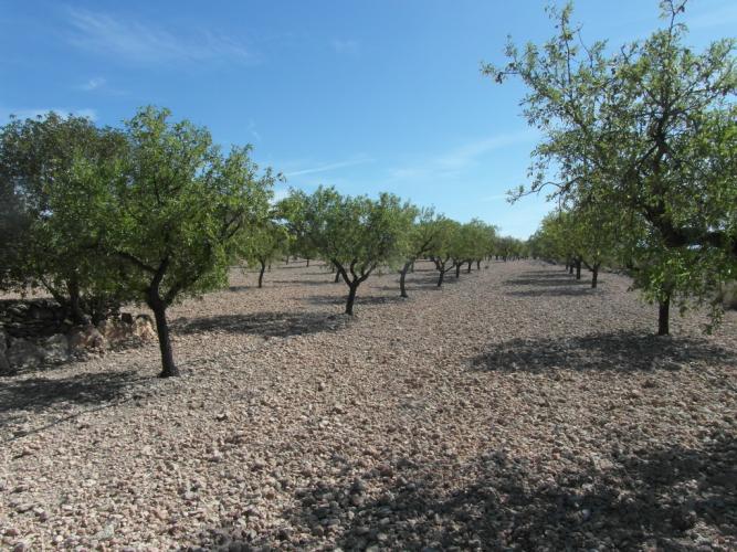 CHALET PARA ACABAR DE OBRA Y EN YECLA